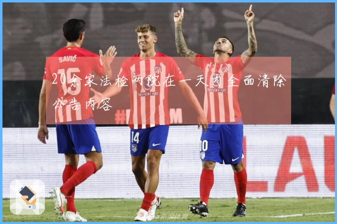 20余家法检两院在一天内全面清除公告内容