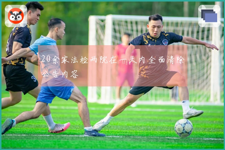 20余家法检两院在一天内全面清除公告内容